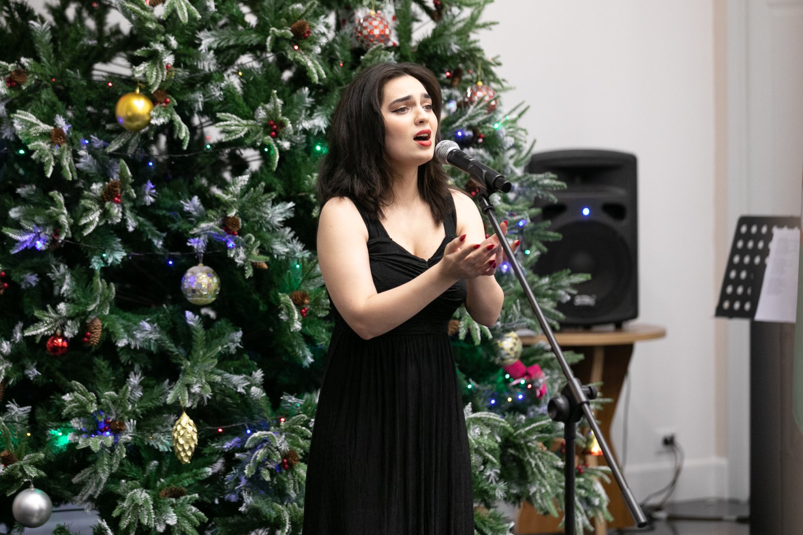 В Баку провели предновогодний концерт эстрадной музыки (ФОТО)