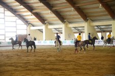 В Баку определился победитель десятого  Кубка Президента по древнему виду спорта - човган (ФОТО)