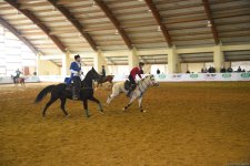 В Баку определился победитель десятого  Кубка Президента по древнему виду спорта - човган (ФОТО)