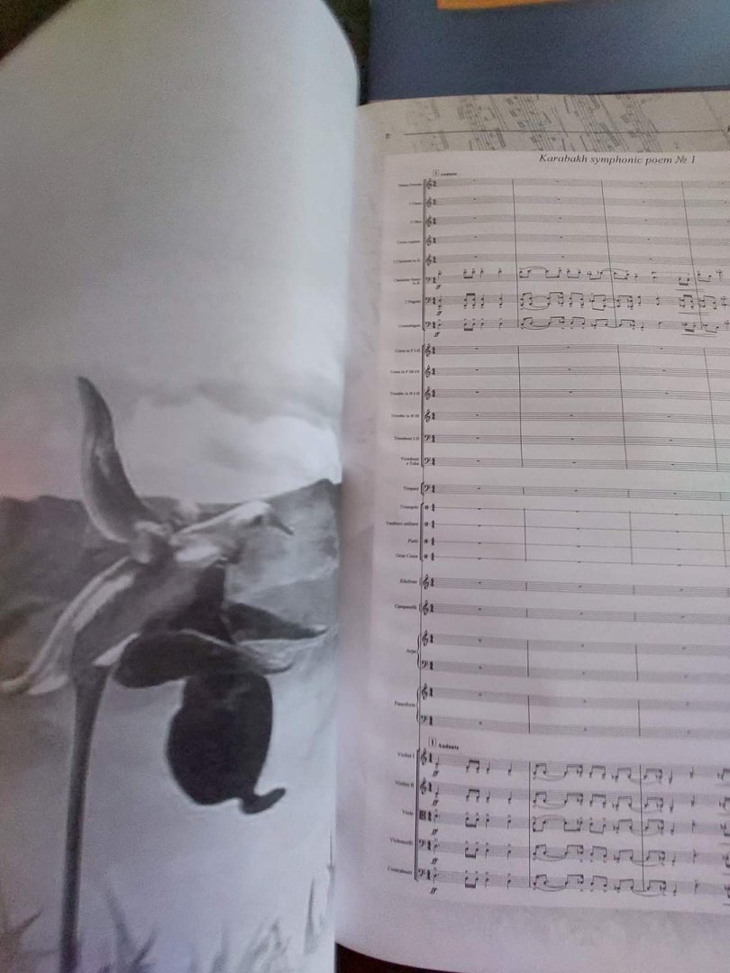 Азербайджанские ветер, огонь, вода и земля в Германии - музыка Карабаха и древнего Новруза (ВИДЕО, ФОТО)