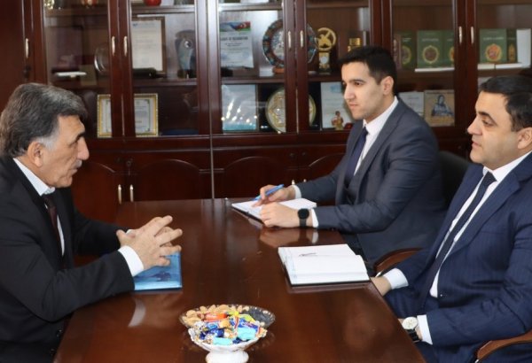 Обсуждено расширение сотрудничества Азербайджана и Узбекистана в сфере культуры и образования