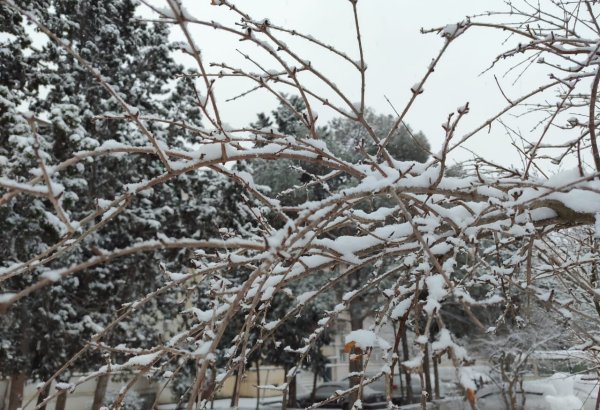 Высота снежного покрова в Нахчыванской АР достигла 29 см