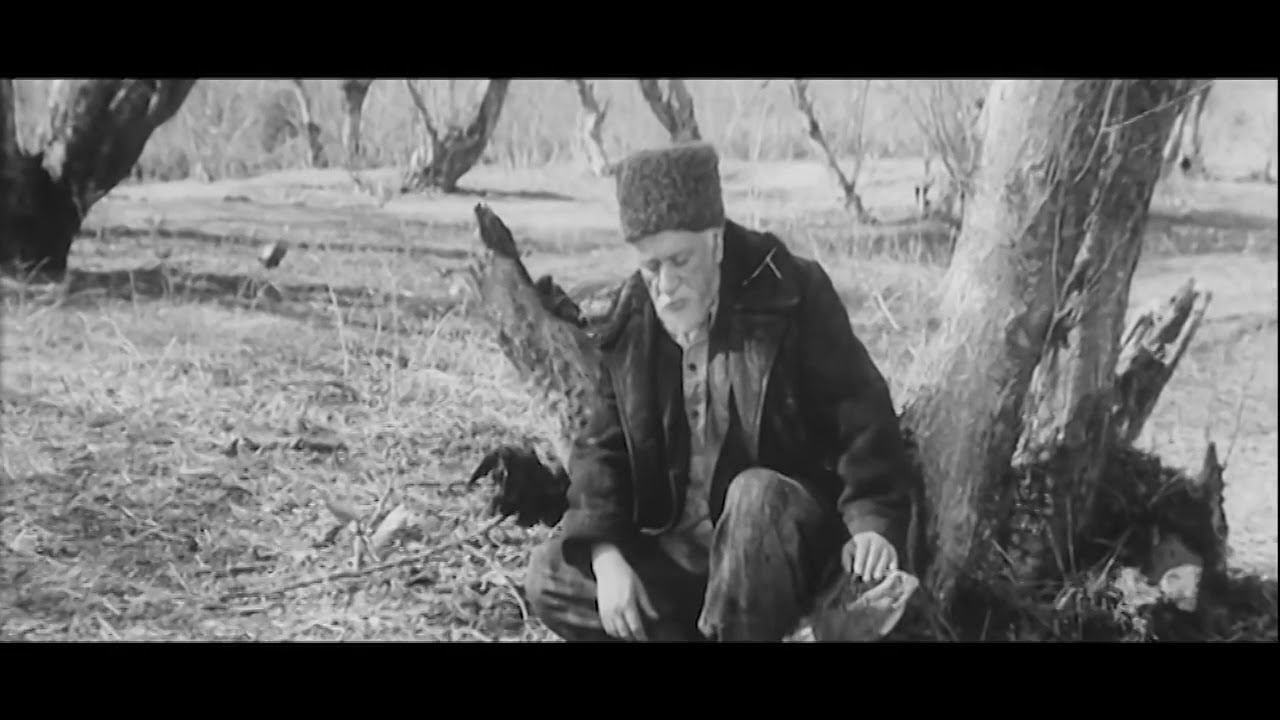 Яркие роли выдающегося актера Мамедрзы Шейхзаманова: Его жене сотрудники НКВД предложили развестись с мужем... (ФОТО)