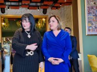 Наша цель - поддержка деятельности женщин-предпринимателей - Рена Наджафзаде-Сададдинова (ФОТО)