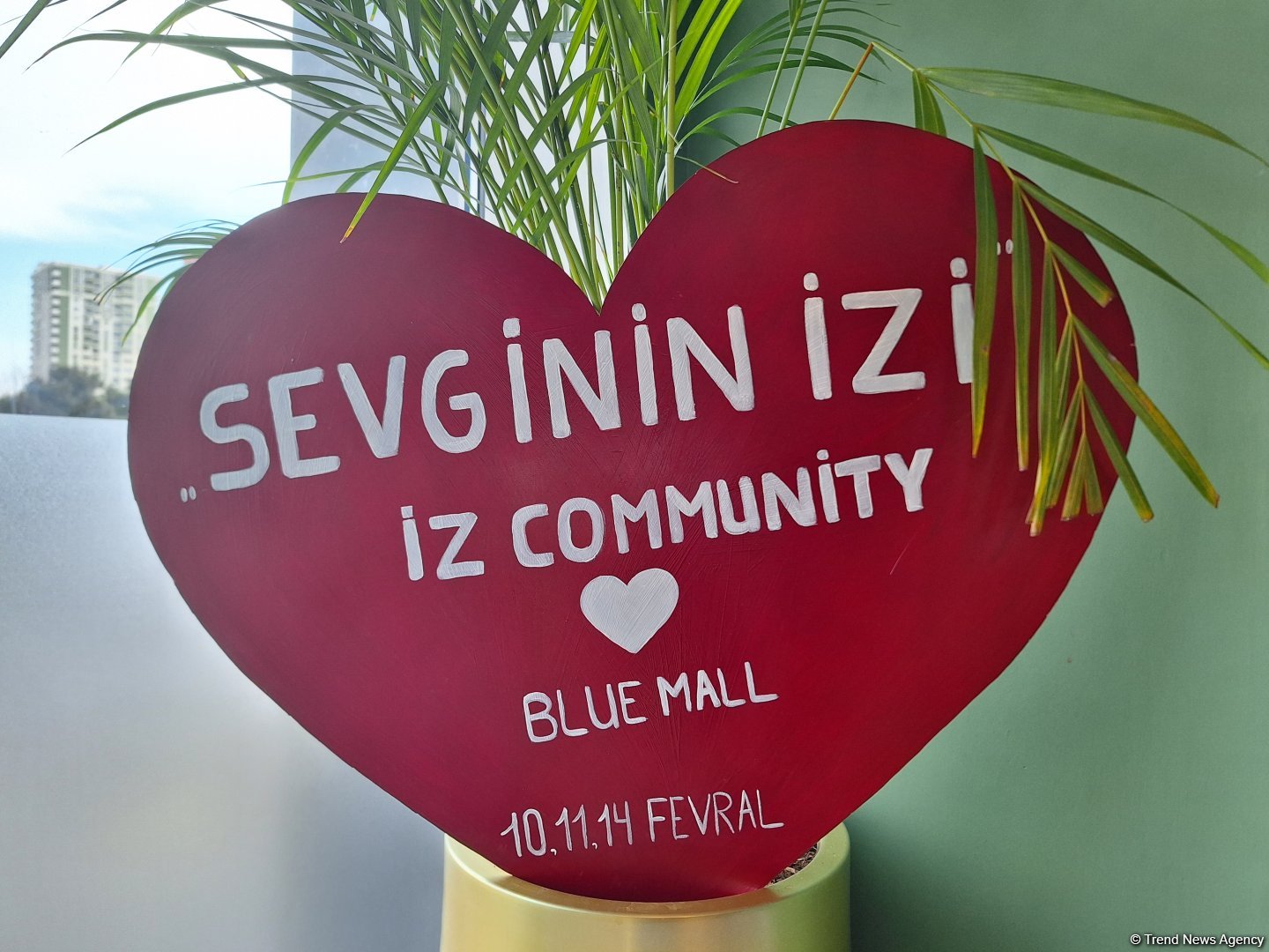 Наша цель - поддержка деятельности женщин-предпринимателей - Рена Наджафзаде-Сададдинова (ФОТО)