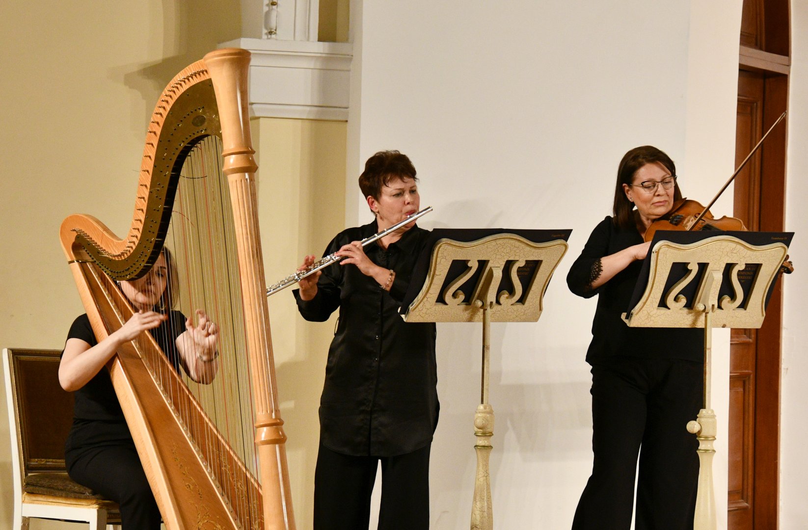 Особенный вечер в Баку (ФОТО)