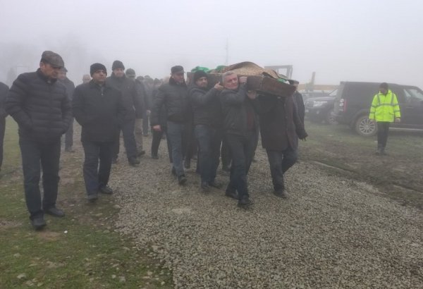 Народный писатель Азербайджана Мовлуд Сулейманлы похоронен в Шамахы