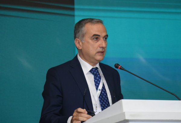 Для устранения исламофобии необходимы политические и международные шаги - Фарид Шафиев