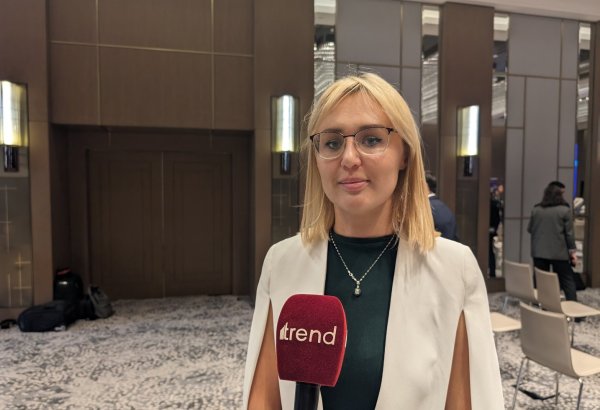 Названы цель и подробности деятельности идентификационного фонда в Азербайджане (Эксклюзив)