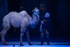 Мехрибан Алекперзаде стала лауреатом премии имени Чингиза Айтматова Межпарламентской ассамблеи СНГ (ФОТО)