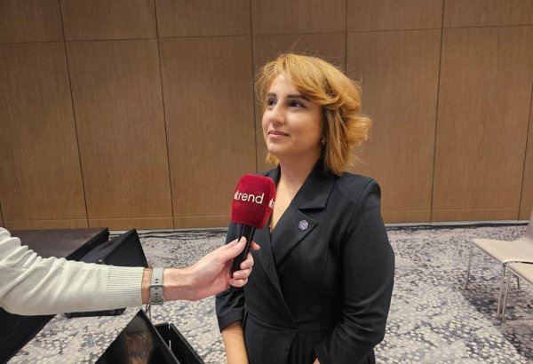 Национальная стратегия по искусственному интеллекту в Азербайджане находится на стадии утверждения