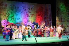 В Баку показали сказочный сад Новруза (ФОТО)