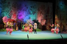 В Баку показали сказочный сад Новруза (ФОТО)