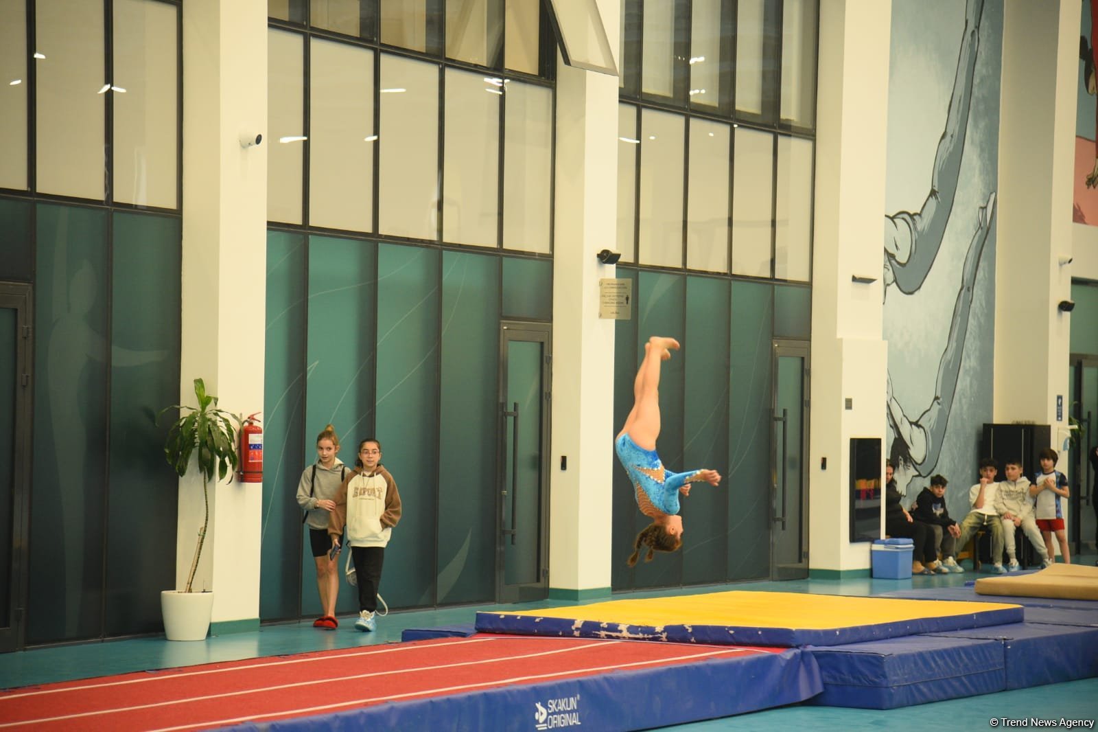 В Баку проходят соревнования чемпионата Азербайджана по прыжкам на акробатической дорожке (ФОТО)