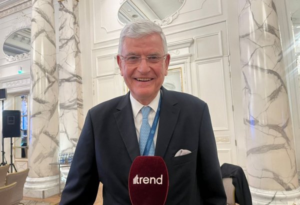 Европарламент действует под влиянием армянской диаспоры - Волкан Бозкыр