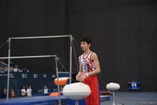 Азербайджанские гимнасты вступают в борьбу за медали "AGF Trophy": заключительный день Международного турнира в Баку (ФОТО)