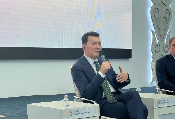 Госсоветник рассказал о реализуемых Казахстаном экономических реформах в 2024 году (ФОТО)