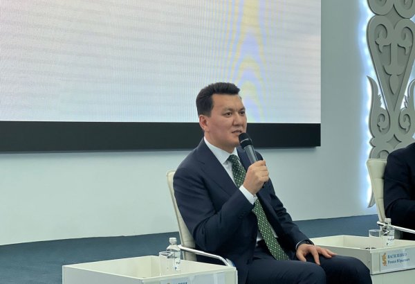 Казахстан реализовал масштабные политические реформы - Ерлан Карин