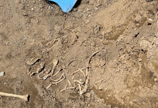 В Губадлы обнаружены останки, предположительно человеческие