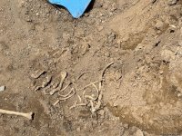 Кадры с места обнаружения человеческих останков в Ходжалы (ФОТО)