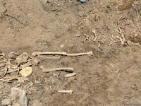 Кадры с места обнаружения человеческих останков в Ходжалы (ФОТО)