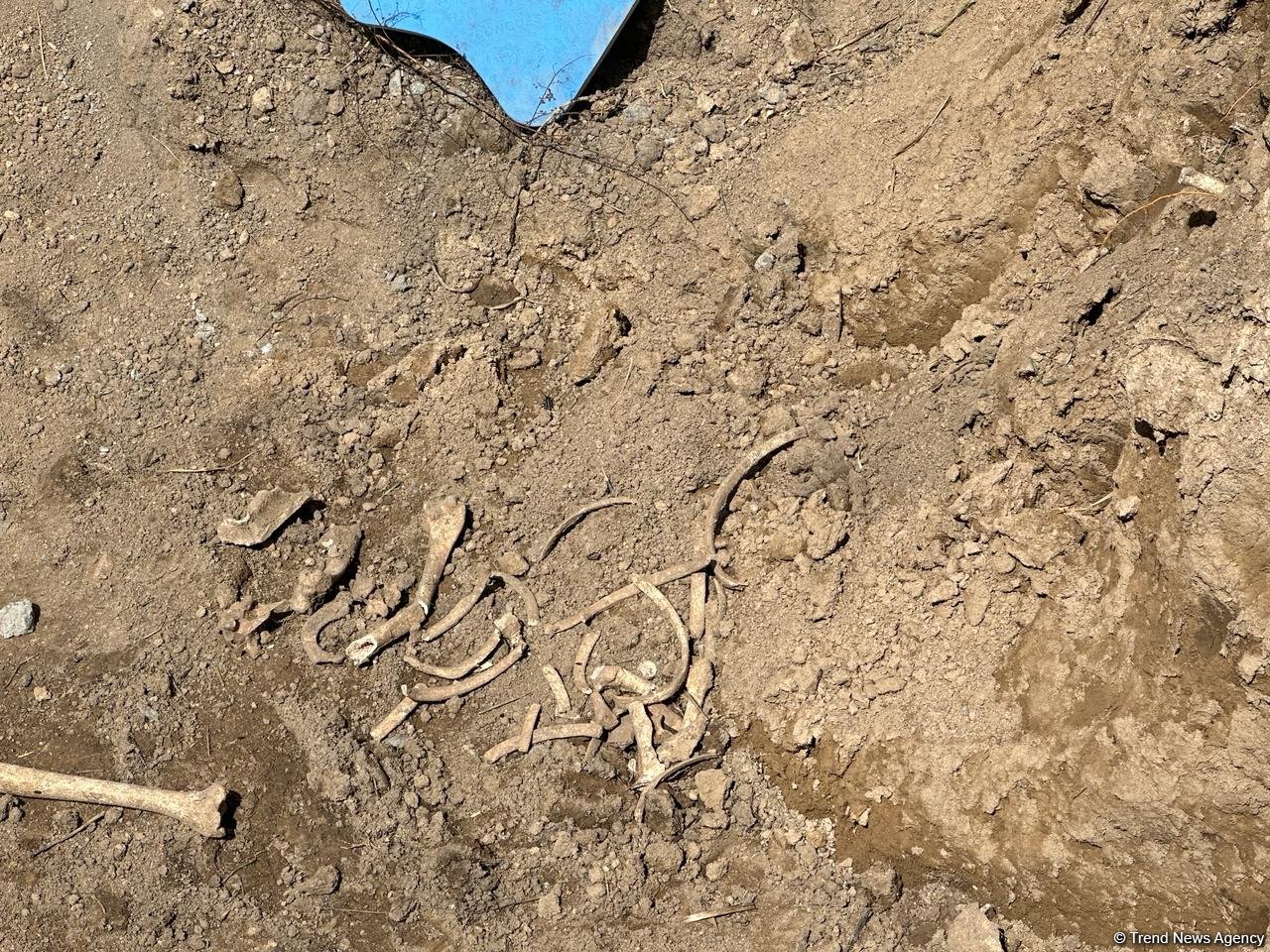 В Губадлы обнаружены останки, предположительно человеческие