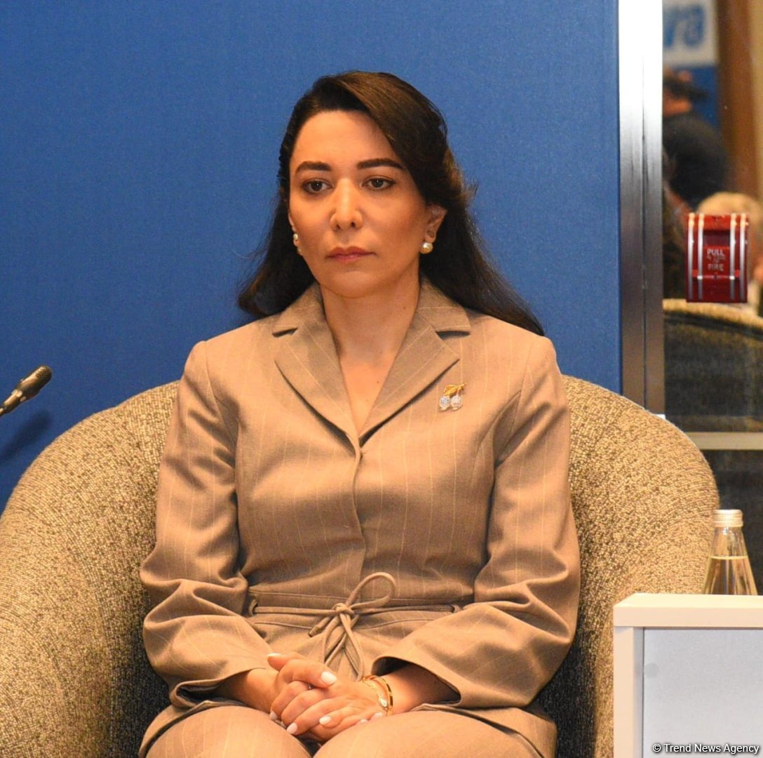 В Баку прошла конференция "Цифровой уголовный процесс: современные вызовы и цели" (ФОТО)