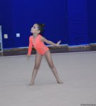 В Баку стартовал второй день соревнований Открытого первенства клуба "Оджаг Спорт" по художественной гимнастике (ФОТО)