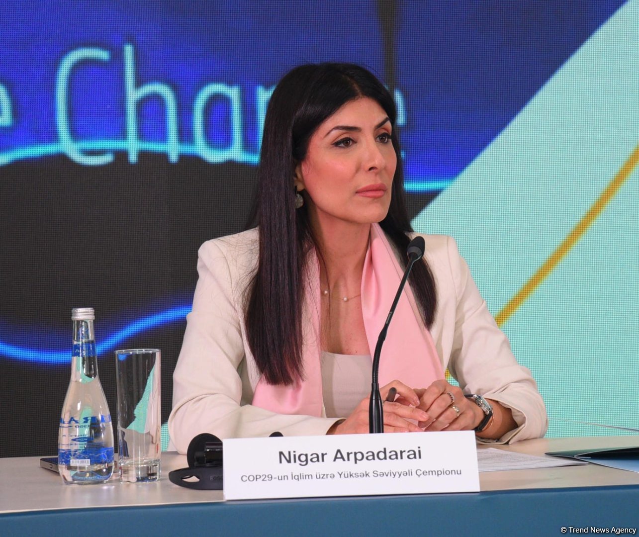 В Баку состоялась пресс-конференция по COP29 (ФОТО)