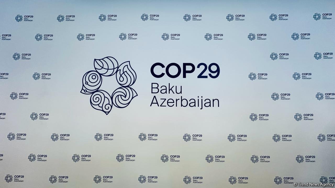 ЕБРР о поддержке Азербайджана в рамках COP29 (Эксклюзив)