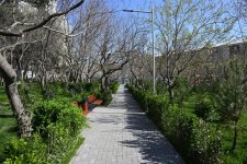 В Баку с участием вице-президента Фонда Гейдара Алиева Лейлы Алиевой в распоряжение жителей переданы очередные благоустроенные дворы (ФОТО)