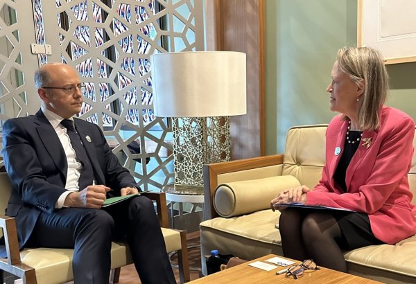 Шахбазов и Уорлик обсудили "Дорожную карту по энергоэффективности" и сотрудничество по COP29 (ФОТО)