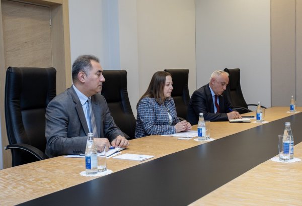 ПРООН готова взаимодействовать с Азербайджаном по всем направлениях "зеленой" экономики