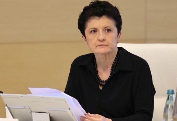 Мы высоко ценим нашу дружбу и партнерство с Азербайджаном - заместитель премьер-министра Грузии