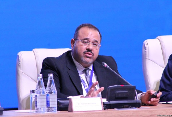 Изменения климата сказываются на состоянии памятников культурного наследия - советник генсека ИСЕСКО