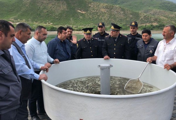 В Суговушанское водохранилище выпустили мальков рыб