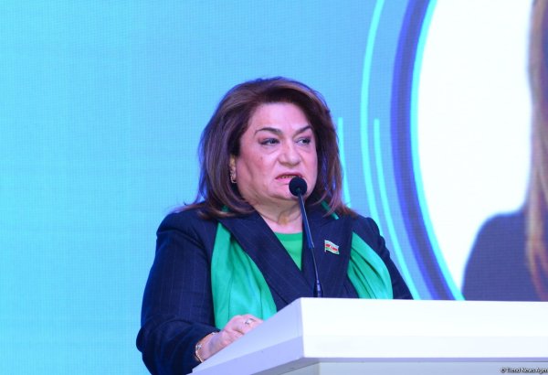 Медиа - основной передатчик социального опыта - Хиджран Гусейнова