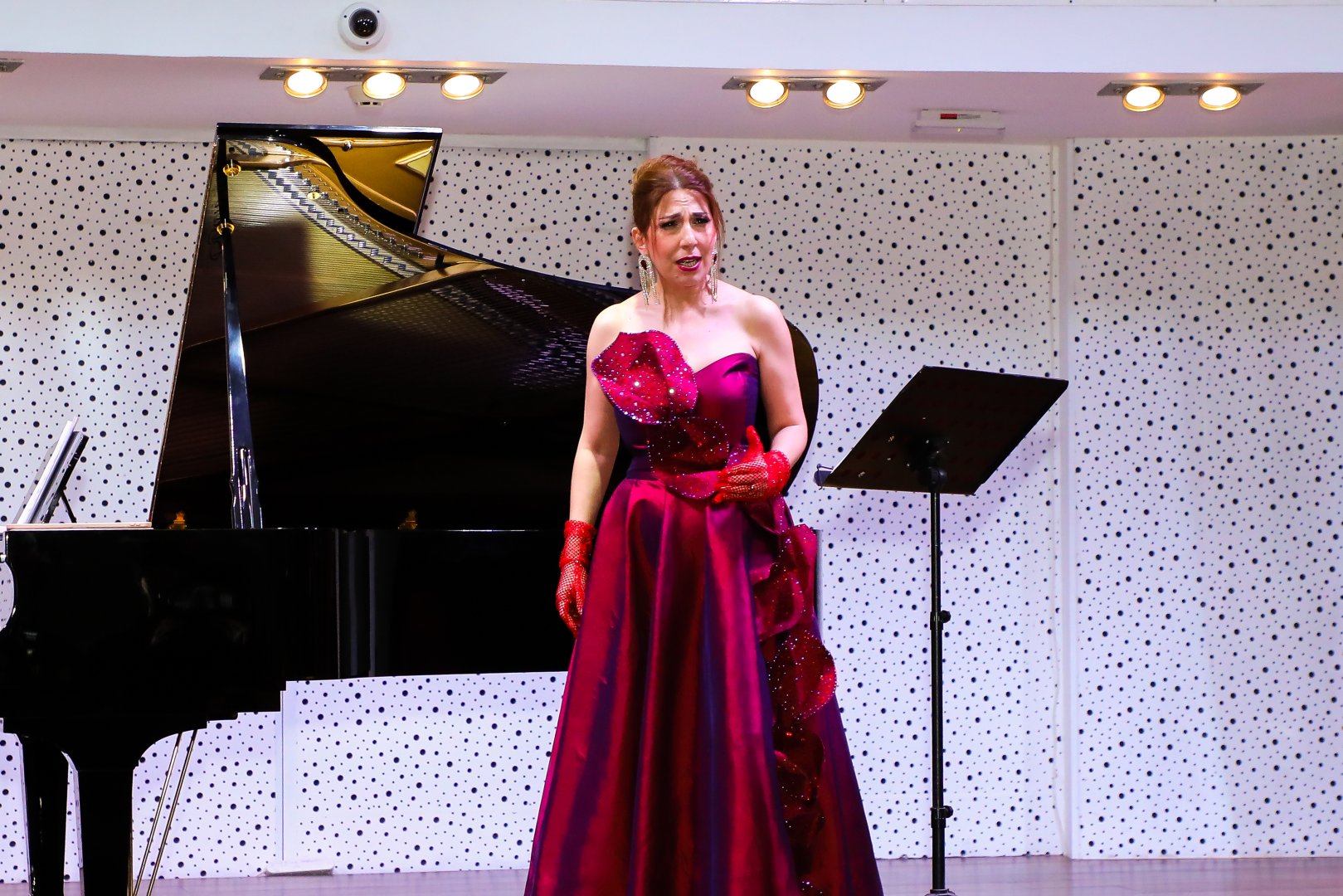 Вечер классической музыки в Баку с зарубежными звездами оперного искусства (ФОТО)