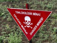 Международные путешественники посетили Джоджуг Марджанлы (ФОТО)