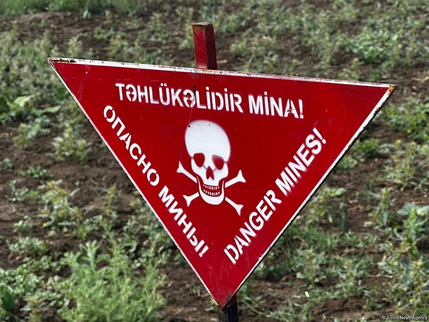 Международные путешественники посетили Джоджуг Марджанлы (ФОТО)