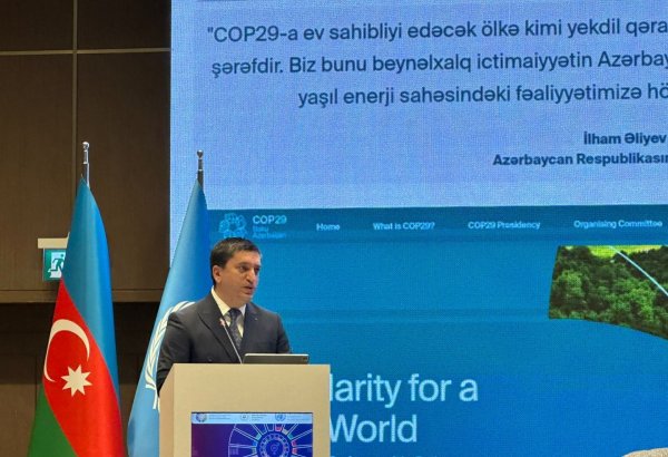 В этом году всего 5 стран представят 4-й добровольный национальный обзор - Гусейн Гусейнов