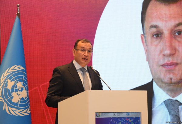 В Азербайджане выдано более 50 миллионов манатов льготных кредитов на развитие женского предпринимательства - замминистра