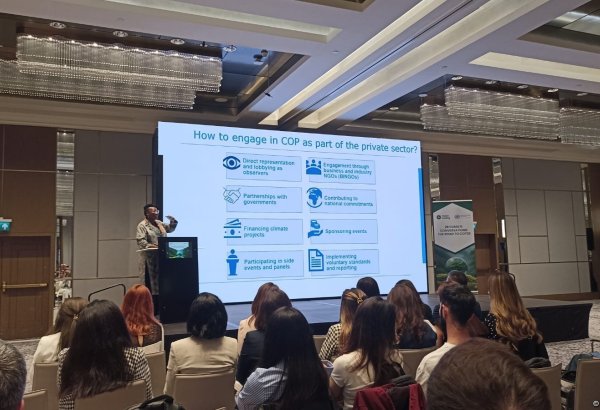 Уточнено, какие компании частного сектора смогут участвовать в COP29