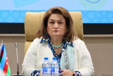 В Центре социальных исследований представлена программа психического здоровья IDDO (ФОТО)