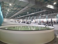 Azerbaijan Fish Farm выпустила в Каспий 50 000 мальков осетров по случаю Международного дня биоразнообразия (ФОТО)