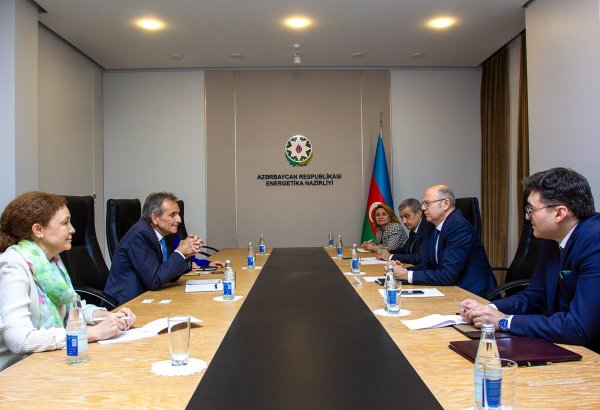 Глава минэнерго Азербайджана и вице-президент S&P Global Commodity Insights обсудили COP29 и "зеленые" проекты