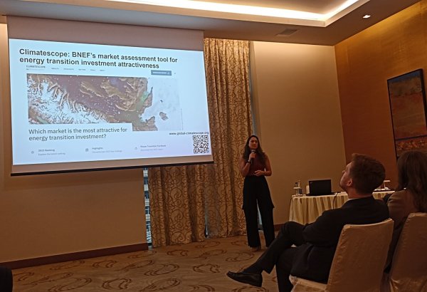 Эксперт Bloomberg поделилась рекомендациями по переходу к "зеленой" энергетике (ФОТО)