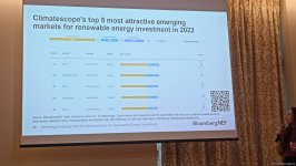 Эксперт Bloomberg поделилась рекомендациями по переходу к "зеленой" энергетике (ФОТО)