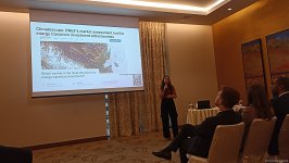 Эксперт Bloomberg поделилась рекомендациями по переходу к "зеленой" энергетике (ФОТО)