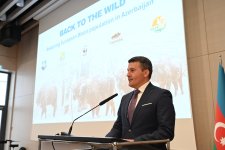 Вице-президент Фонда Гейдара Алиева Лейла Алиева находилась c рабочим визитом в Берлине (ФОТО)